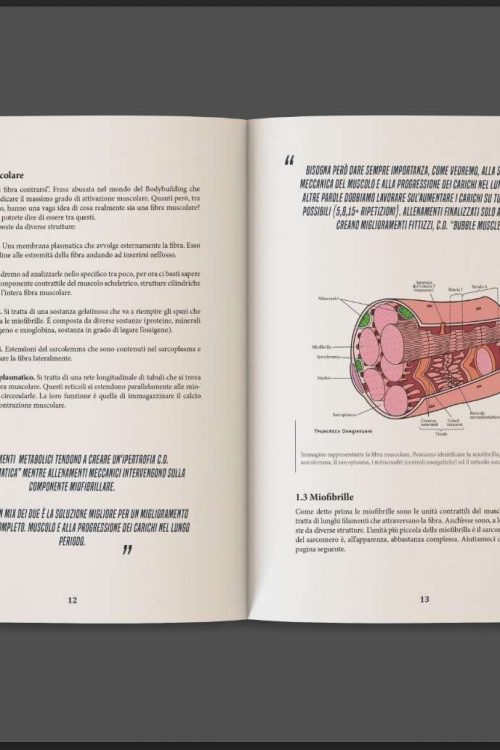 Libro – Bodybuilding Vol 1