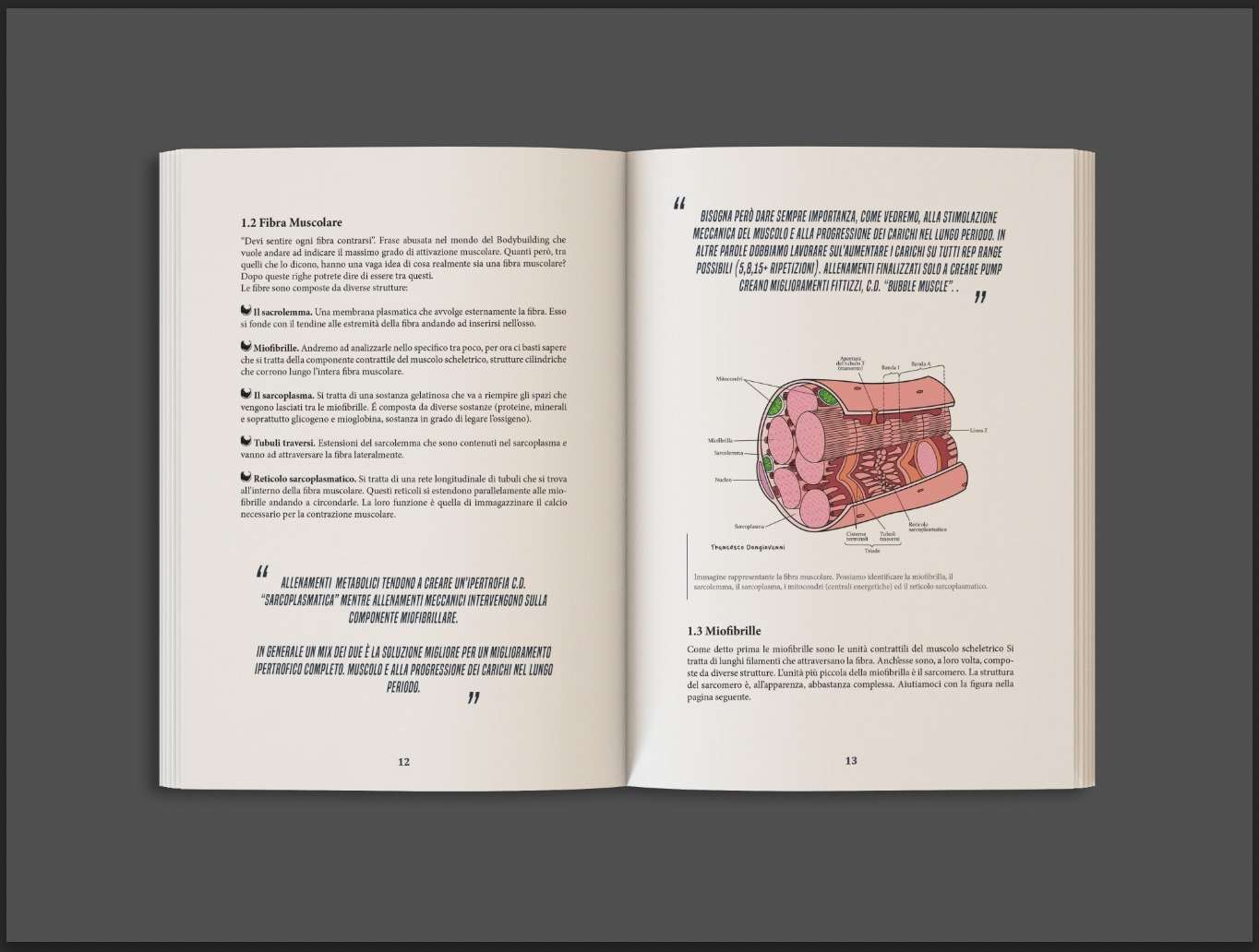 Libro – Bodybuilding Vol 1